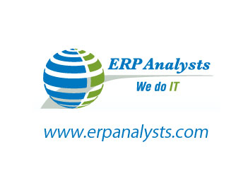 ERP Analysts